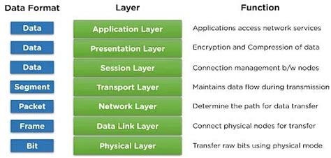 What Is RIP Software? Exploring Its Many Layers and Use Cases